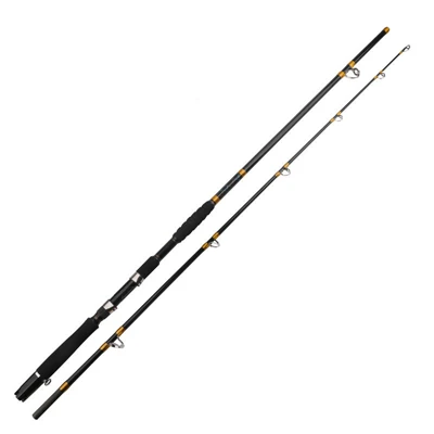 Saltwater Jigging Rod