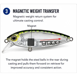 MAGNETIC WEIGHT TRANSFER