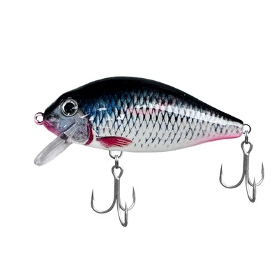 Floating Minnow Bait