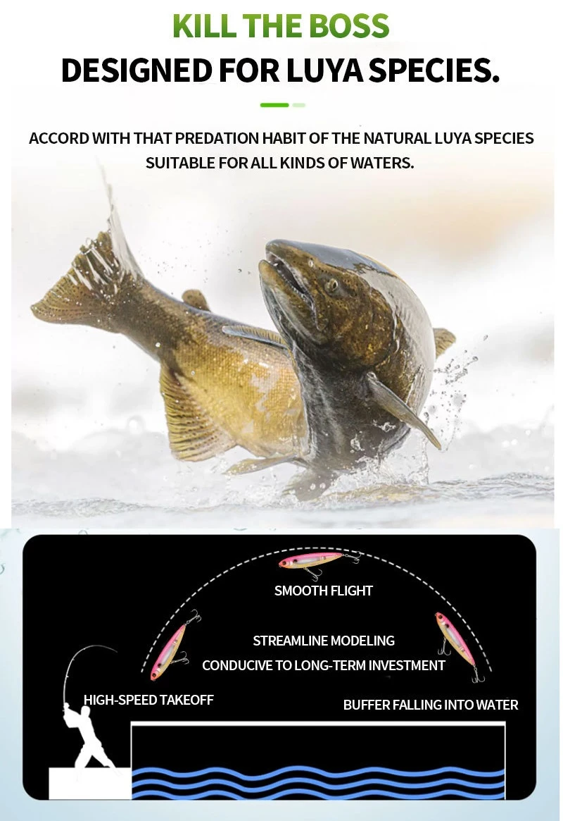 Custom Pencil Lures Bass OEM Service - 副本 Custom Pencil Lures Bass OEM Service - 副本