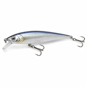 01 Minnow