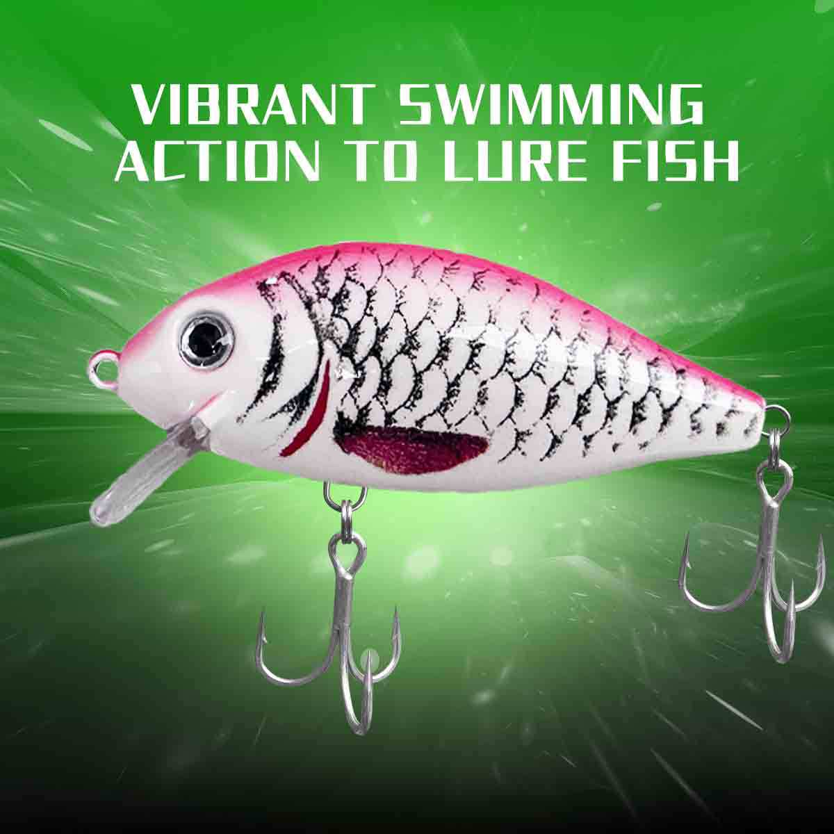 Floating Minnow Bait detailed fish eyes