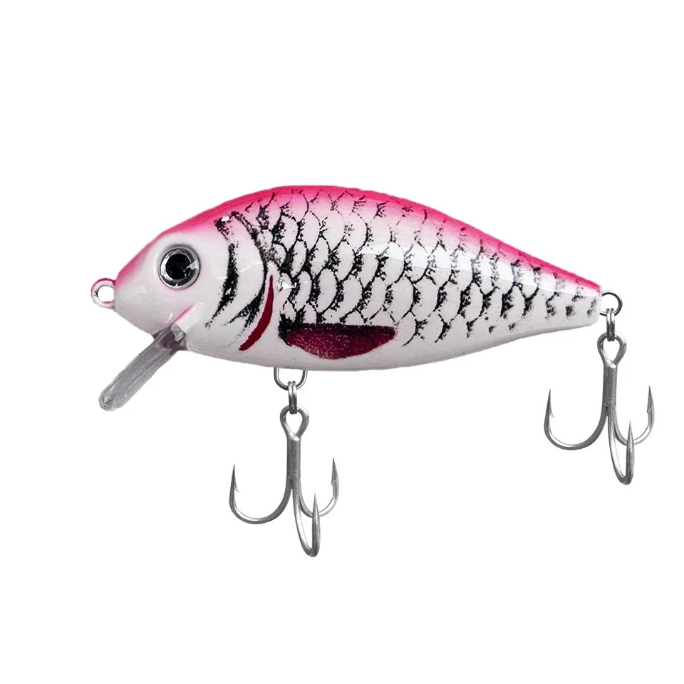 custom Floating Minnow Bait