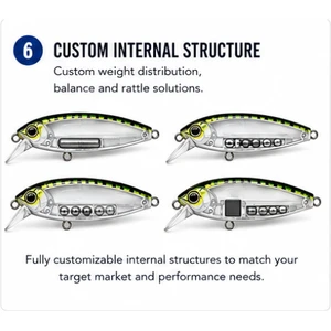 CUSTOM INTERNAL STRUCTURE