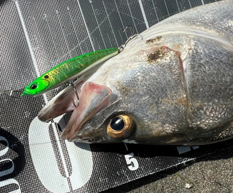 Sinking Pencils Bait Supplier Sinking Pencils Bait Supplier